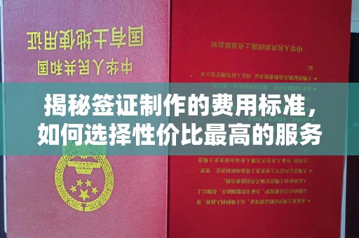 山西揭秘签证制作的费用标准，如何选择性价比最高的服务？