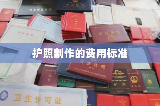 山西护照制作的费用标准