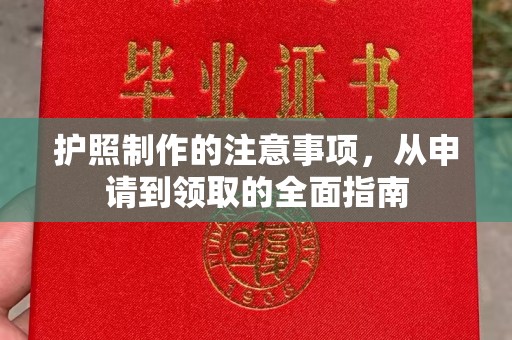 山西护照制作的注意事项，从申请到领取的全面指南