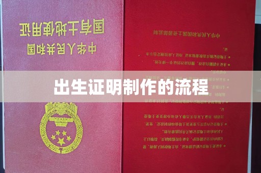 山西出生证明制作的流程